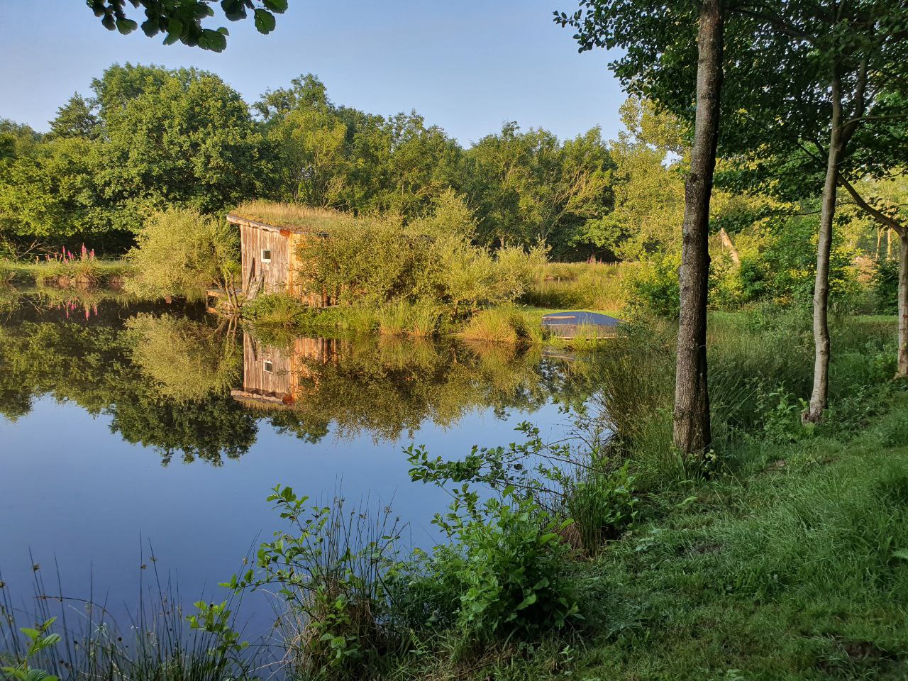 La cabane en bois au bord de l'étang, au petit matin